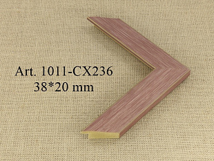 1011-CX236