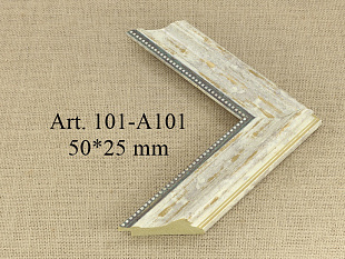 101-A101