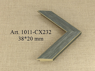 1011-CX232
